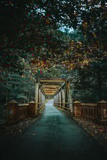 Bridge to Resources - Connection and support pathway